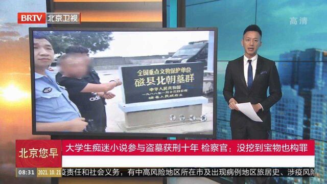 大学生痴迷小说参与盗墓获刑十年,检察官:没挖到宝物也构罪