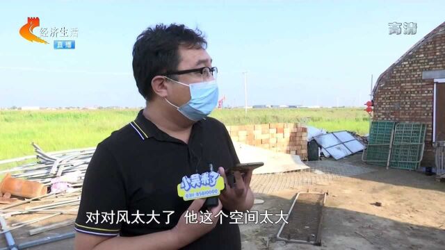 新建猪棚坍塌,两个施工方各说各理不愿担责,养殖户:没伸冤地方