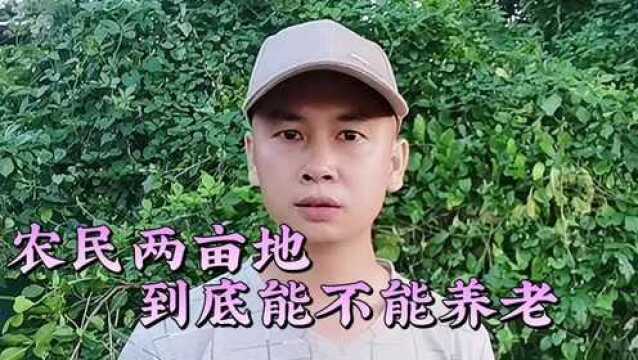 农民两亩地到底能不能养老 大实话 正能量