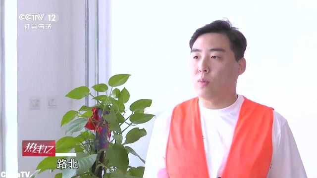 北京街头惊现被“摘冠”的毛白杨非法砍树,竟因遮住了广告牌