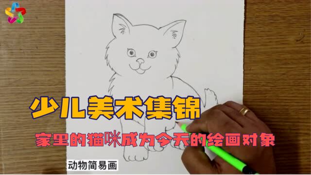 【少儿美术集锦】铅笔手绘:今天找来了家里的猫咪作为绘画对象