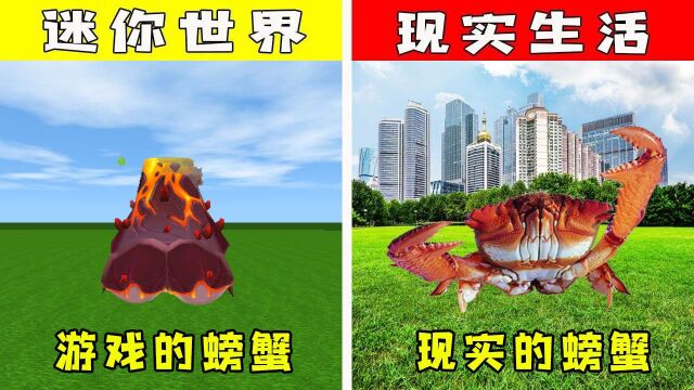 迷你世界:当游戏走进现实,同样是螃蟹,是不是都不怕岩浆呢? 