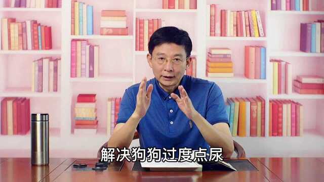 狗狗尿尿的小秘密(下)