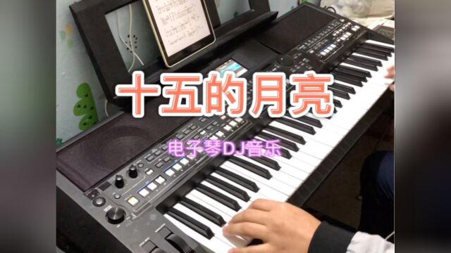 电子琴演奏DJ音乐《十五的月亮》DJ版