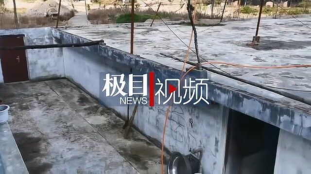 疫情突袭下的陕西山阳蛇农:养殖场关闭,补偿款成争议