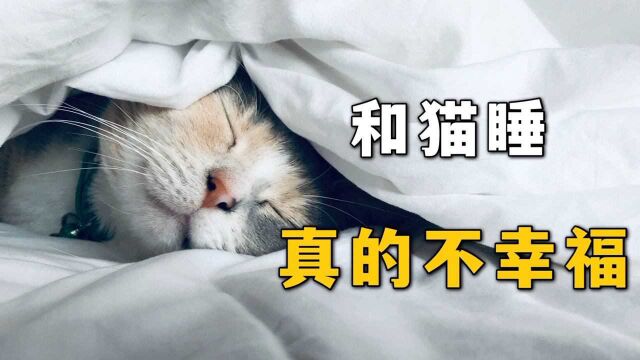 和猫一起睡觉,真的不幸福