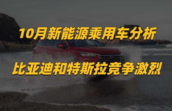 10月新能源汽车分析:比亚迪和特斯拉竞争激烈,DMi抢占燃油车市场