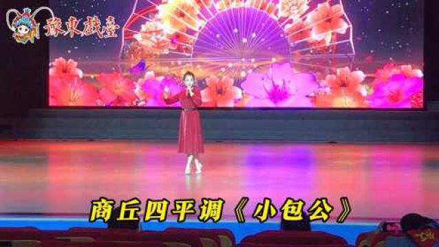 专业剧团年轻女演员,商丘四平调《小包公》,豫东独有非遗剧种