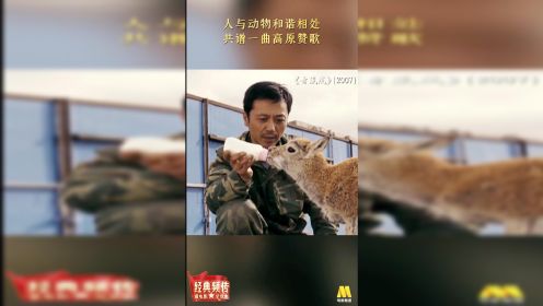 《青藏线》：人与动物和谐相处 共谱一曲高原赞歌