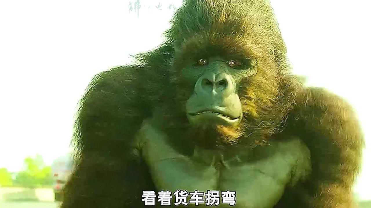 蓝翔毕业的大马猴，你属实没有见过吧_高清1080P在线观看平台_腾讯视频