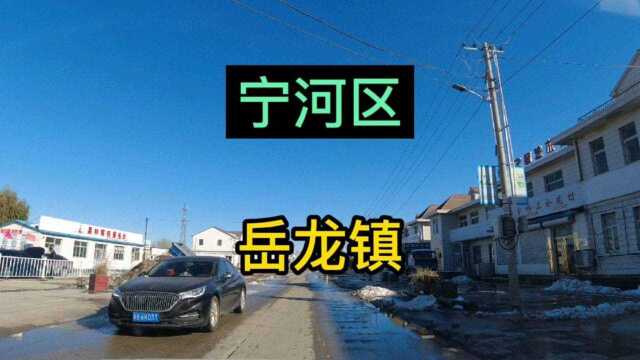 天津市宁河区第《8》个视频,岳龙镇实地考察