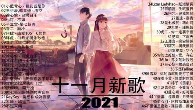 2021 抖音歌曲合集 3小时无广告