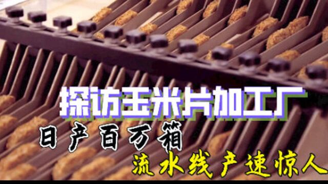 走进国外最大食品加工厂,日产玉米片近百万箱,全程机械化超解压