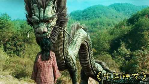 中国五大神龙，随便一条呼风唤雨，青龙竟然不是最厉害的龙！奇幻