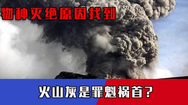 物种灭绝原因找到,火山灰是罪魁祸首?最新结论或掀起学术界风暴