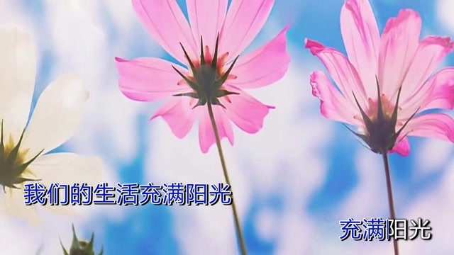 時翔雲演唱歌曲《我們的生活充滿陽光》mv