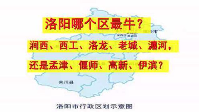 洛阳哪个区最牛?涧西、西工、洛龙争相发言,九个区都不甘示弱