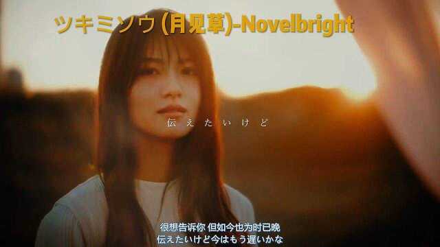 ツキミソウ (月见草)Novelbright