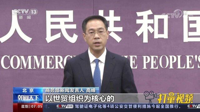 入世20年成绩亮眼!商务部:中国将继续坚定支持WTO多边贸易体制