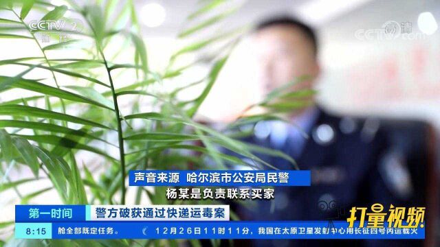 大快人心!哈尔滨警方成立抓捕小组,斩断跨省贩毒网络