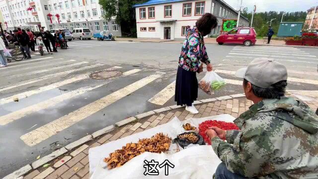 黑龙江伊春蘑菇太便宜?,市场才几块一斤?这简直和白送一样了