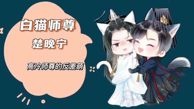 二哈和他的白猫师尊:楚晚宁的反差萌太可爱了