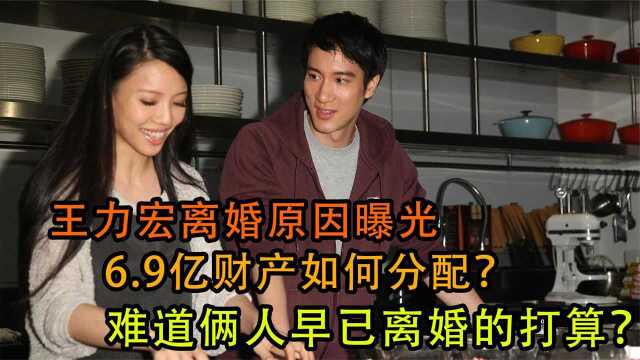 王力宏离婚原因曝光,6.9亿财产如何分配?俩人早已离婚的打算?