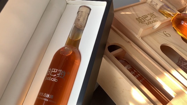 帕巴拉冰酒宣传视频