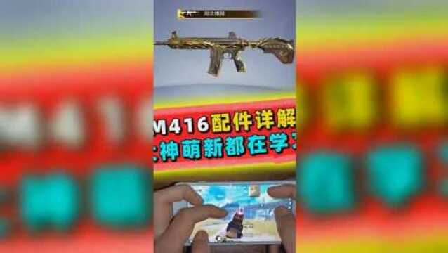 M416配件详解大神都在学习!