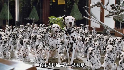 爆笑斑点狗联合所有动物大战人类 拯救被困的100只小狗 