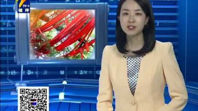 “梅”景来袭!安康这两地梅花开了,选一处来赏!