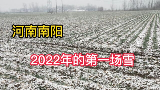 2022年1月14号,河南南阳终于下雪了,农村姑娘到地里一看傻眼了