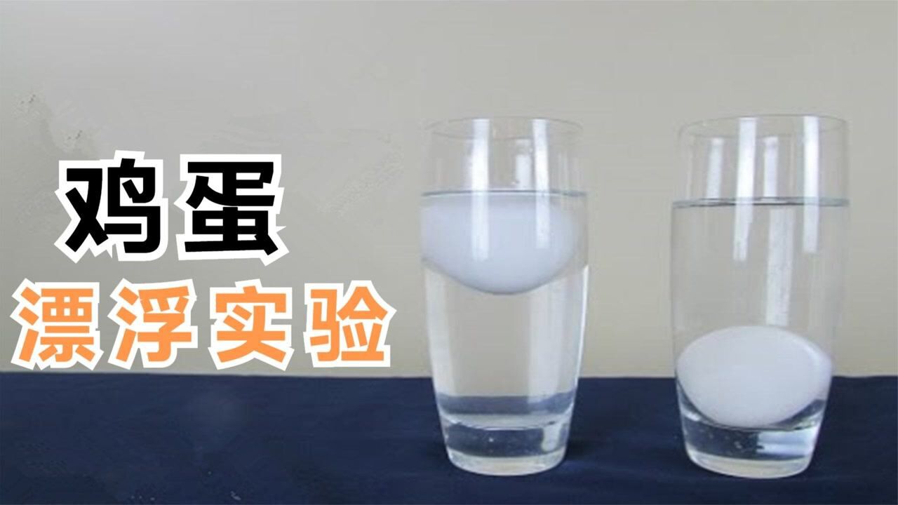 6个简单的科学小实验，鸡蛋为什么可以浮在水面上？_高清