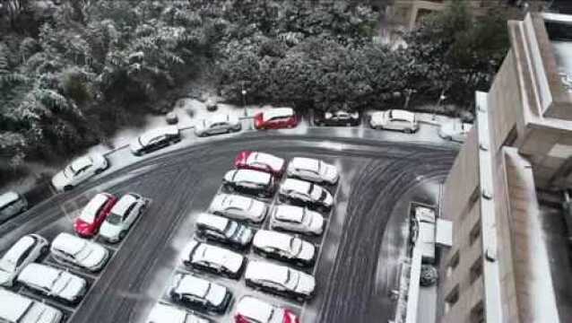 瑞雪兆丰年!虎年新春第一场雪飘落兴化