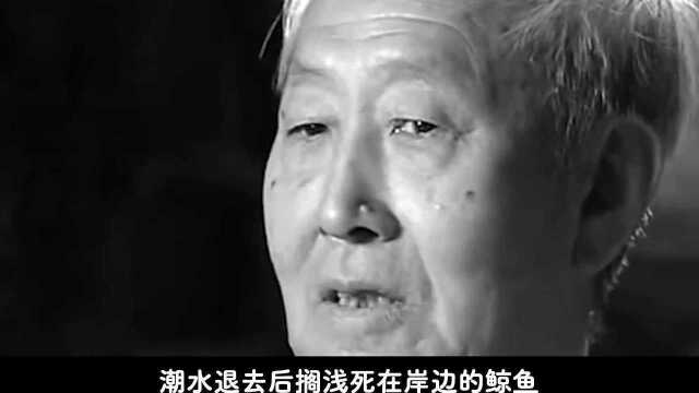 龙居然是真实存在的?央视两次报道,辽宁出土巨大龙形骨架!