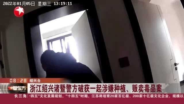 浙江绍兴诸暨警方破获一起涉嫌种植、贩卖毒品案