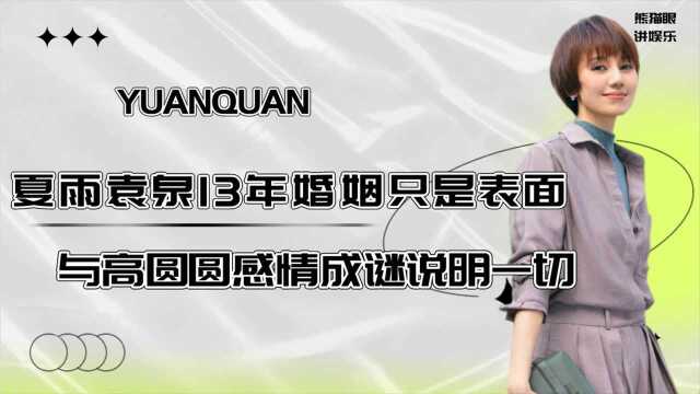 夏雨袁泉13年婚姻只是表面,与高圆圆感情成谜说明一切,孩子才是最大受害者