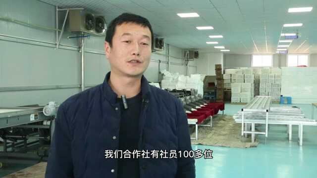 陈清:依托互联网平台把大荔冬枣卖向全国各地