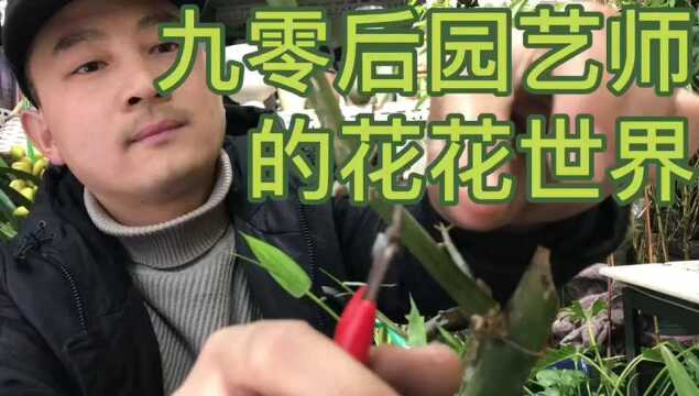 拾光| 90后夫妻的“花花世界”