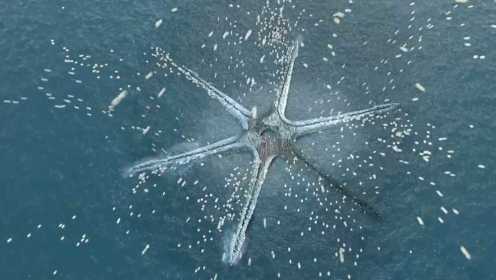 海底钻出巨型海星，向四方喷发无数巨蛋，孵出的生物差点灭种人类