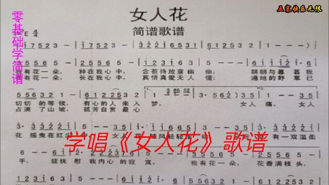 学唱《女人花》简谱曲调优美歌词细腻传统怀旧的经典歌曲