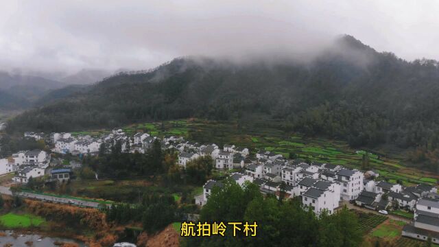 沱口—岭下村 物华天宝、人杰地灵的岭下村 