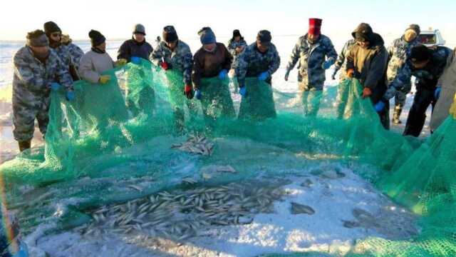 内蒙古草原上的大型冬捕,渔网覆盖面积竟有3个天安门广场大小