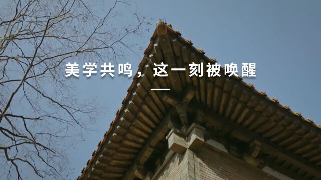 美学共鸣,这一刻被唤醒