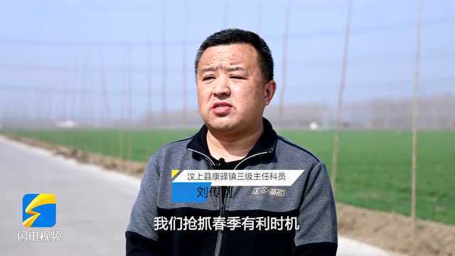 汶上:全民植树造林掀高潮 打造精品农田林网