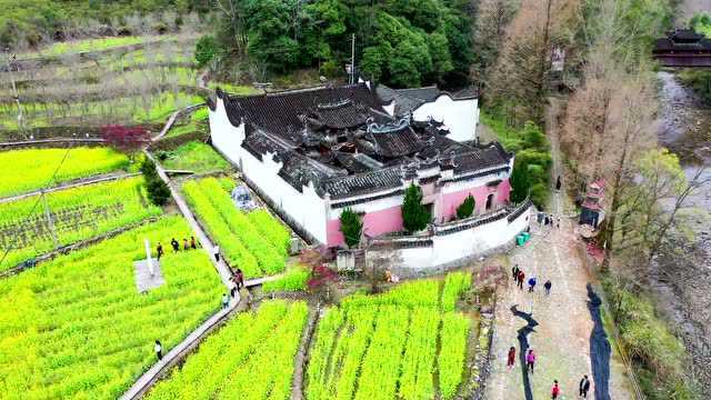 春游丽水:在庆元西洋殿遇见最撩人的春天