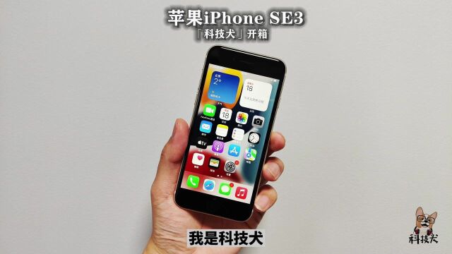 苹果iPhone SE3值不值得买?备用机角色,还有几大缺点不容忽视