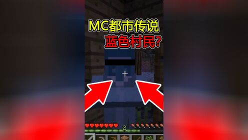 [图]我的世界：MC蓝色的村民，你们遇见过吗？