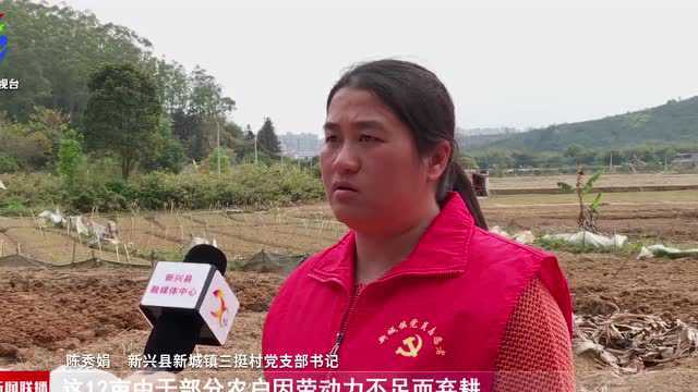 新兴新城:唤醒“沉睡”土地 激发振兴活力