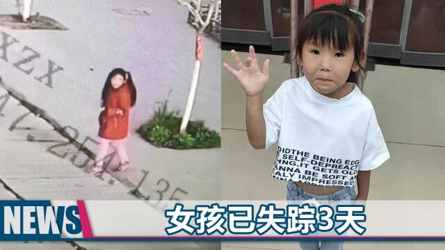 河南7岁女童在家门口失踪,监控记录其最后身影:蹦蹦跳跳朝村口走